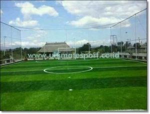 Jual Rumput Sintetis Futsal Banda Aceh