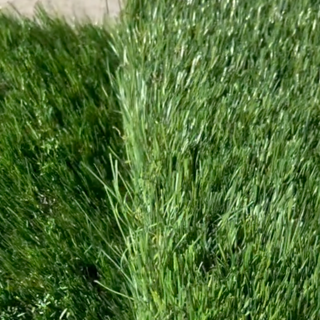 Harga Karpet Lapangan Futsal