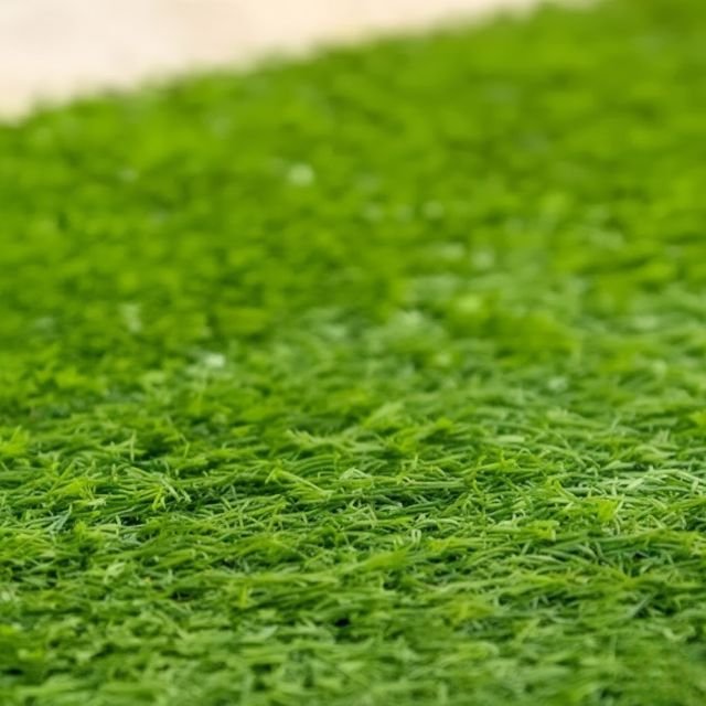 Harga Karpet Lapangan Futsal