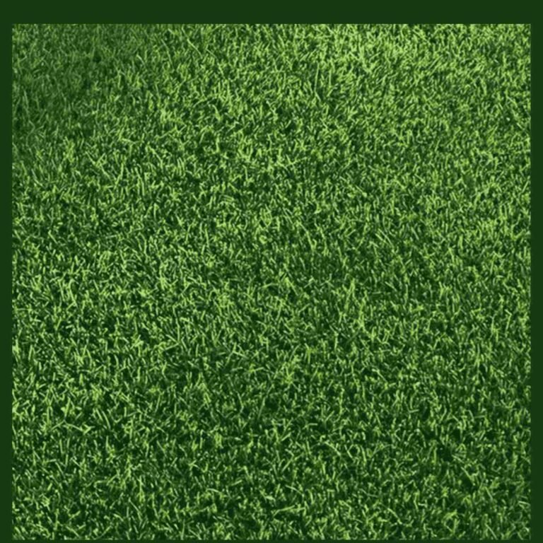 Rumput Lapangan Futsal