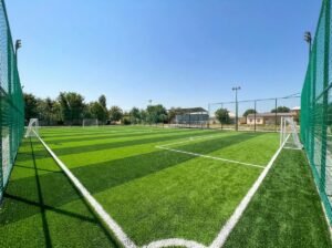 Biaya Pembuatan Mini Soccer