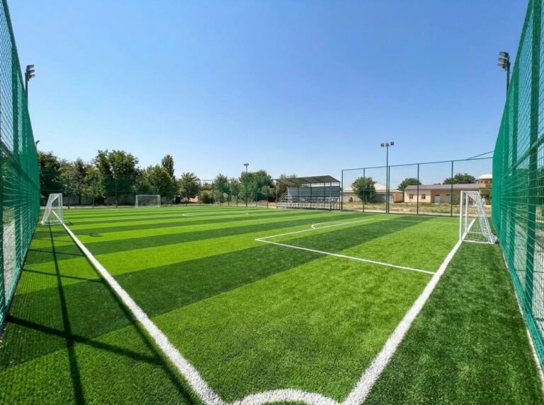 Biaya Pembuatan Mini Soccer