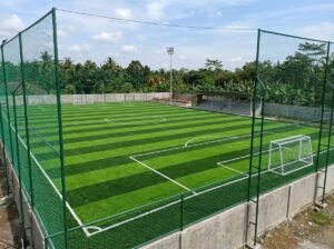 Jasa Pembuatan Mini Soccer Profesional