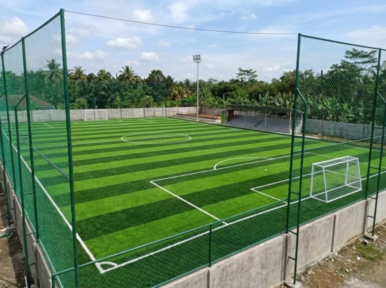 Jasa Pembuatan Mini Soccer Profesional
