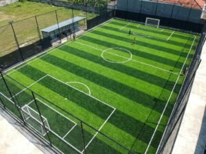 Menggagas Lapangan Mini Soccer Unggul dari Ultimate Sport