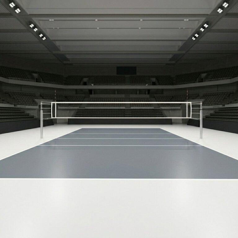Vinyl Lapangan Voli Indoor