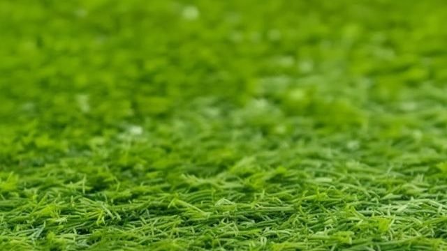 Harga Karpet Lapangan Futsal