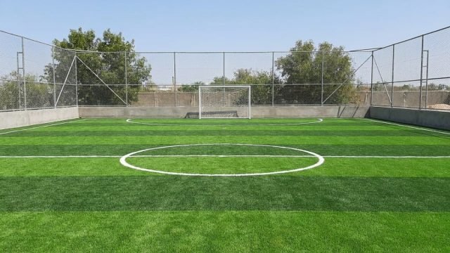 Harga Karpet Rumput Futsal