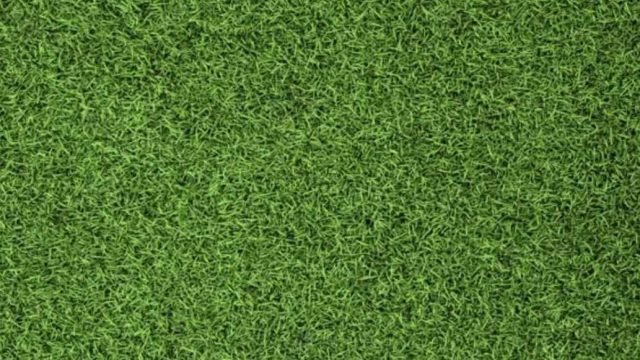 Harga Rumput Sintetis Lapangan Futsal Harga Rumput Sintetis Lapangan Futsal