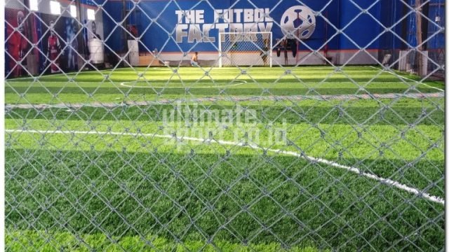 rumput sintetis futsal